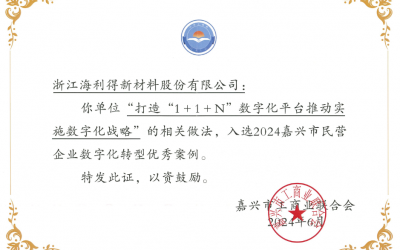 公司入選2024嘉興市民營企業數字化轉型優秀案例